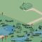 Florida wetlands delineation